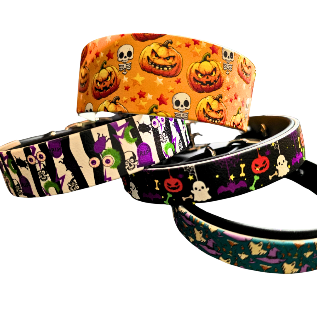 BeetleBark | Halloween BioThane Dog Collar