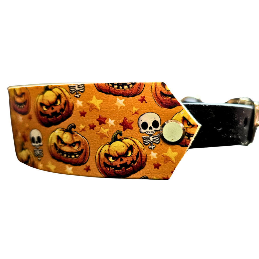 Fright Night | Halloween BioThane Dog Collar