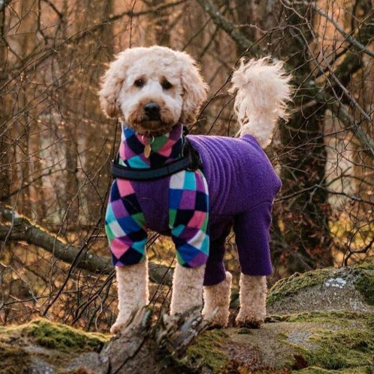 Patch&PopsBoutique fleece Waterproof Dog Fleece: Harlequin and Purple